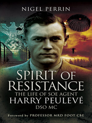 cover image of Spirit of Resistance